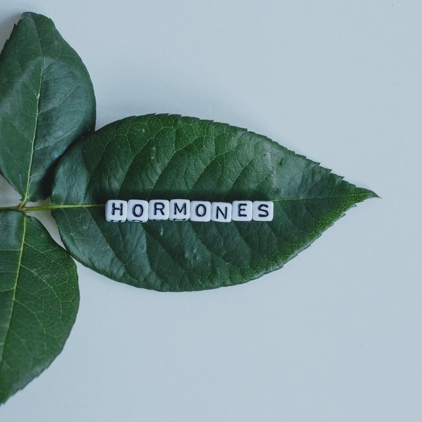 What to Expect When Starting Hormone Therapy for the First Time